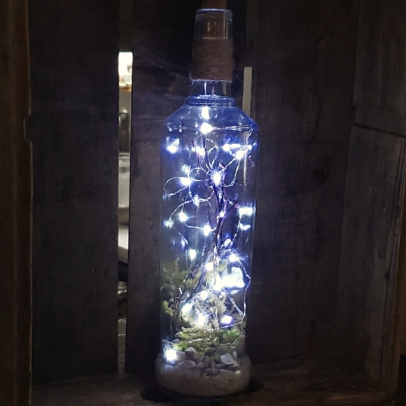 Dried Moss Terrarium Bottle Light (w/ roots and pebbles) - Picture 2 of 8